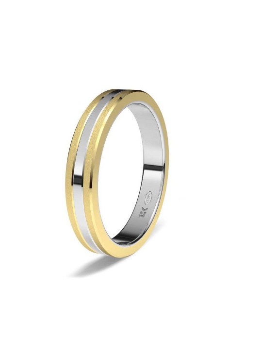 Alianza Bicolor Plana