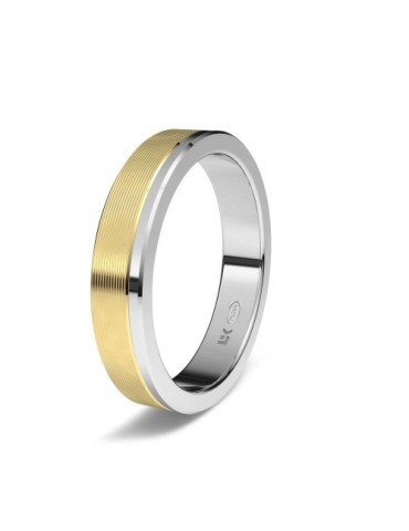 Alianza Bicolor recta minimal