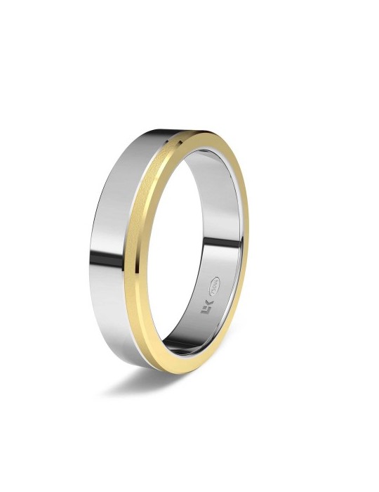 Alianza Bicolor Noor recta