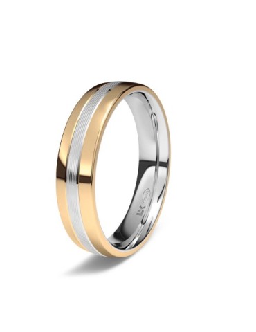 Alianza Bicolor plana