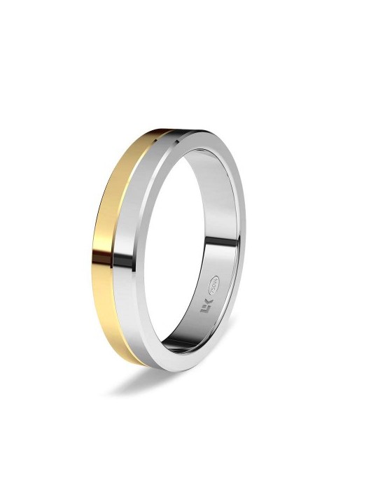 Alianza Bicolor rectangular