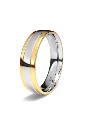 Alianza Bicolor Plana