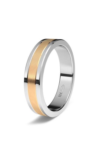 Alianza Bicolor rectangular.