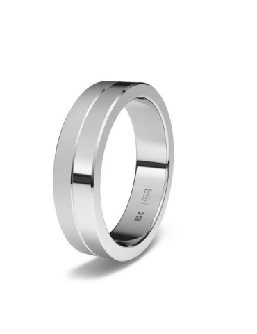 Alianza de Plata Recta