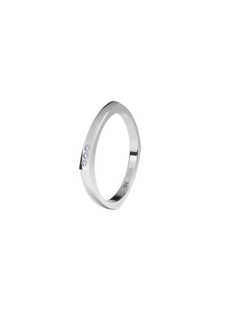 Alianza Polygonal 4 lados